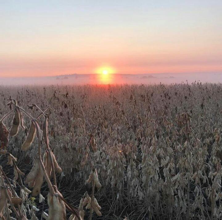 Green Thumb Farm Stay Ермело Екстер'єр фото