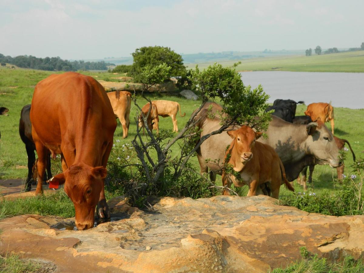 Green Thumb Farm Stay Ермело Екстер'єр фото